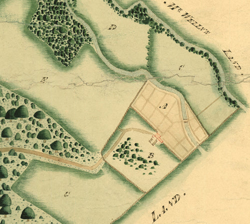 Buckingham 14 - Historical Chart