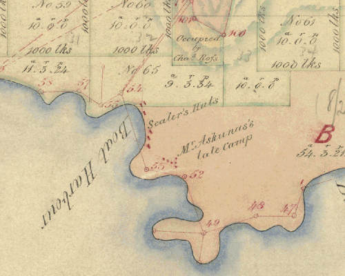 Mount Chappel Island Dorset 37 - Historical Chart